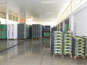 magazzino-di-lavorazione-2